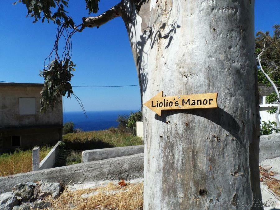 Agalianos Liolio'S Manor 빌라 외부 사진